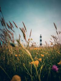 Un phare pour guide