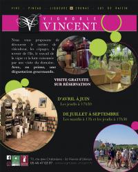 Vignoble Vincent