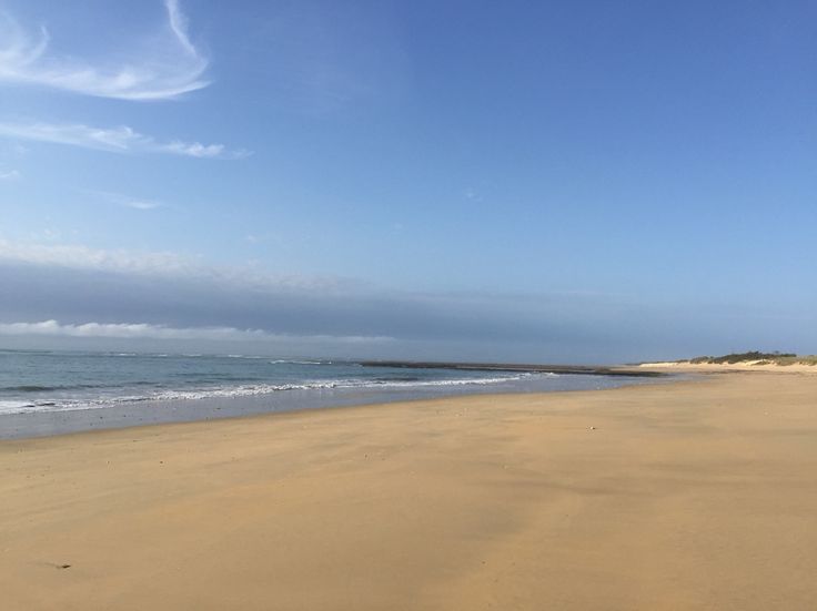 sable vignier sable vignier