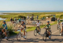 Location de vélo à Oléron : le guide pratique pour rouler sans mauvaise surprise