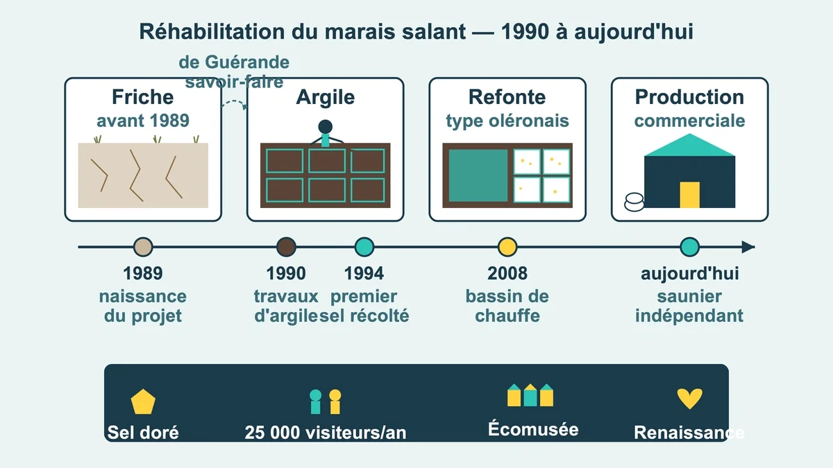 Schéma illustrant le processus de réhabilitation des marais salants d'Oléron avec sauniers et bassins rénovés