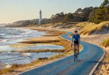 Plus belle piste cyclable d’Oléron : laquelle choisir parmi les 160 km du réseau ?