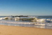 Surf report Vert Bois (Oléron) : décoder les bonnes conditions du spot