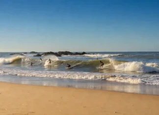 Surf report Vert Bois (Oléron) : décoder les bonnes conditions du spot