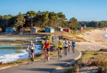 Que faire sur l’île d’Oléron : 8 expériences qui valent vraiment le détour