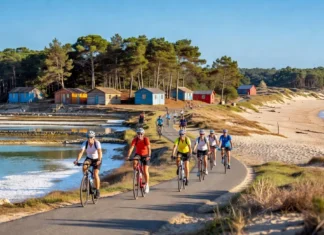 Que faire sur l’île d’Oléron : 8 expériences qui valent vraiment le détour