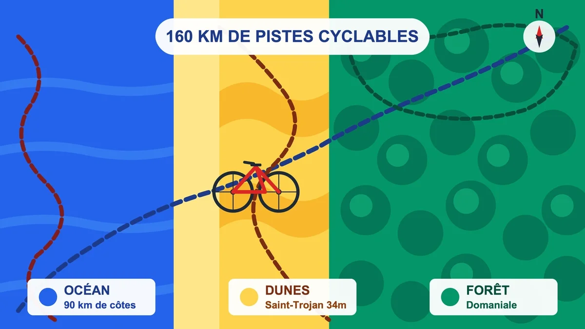 Schéma des pistes cyclables de l'île d'Oléron à travers forêts, dunes et côtes maritimes