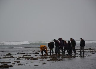 Pêche à pied à Oléron : la carte des spots qui valent vraiment le détour Pêche_à_Pied_Oléron_01