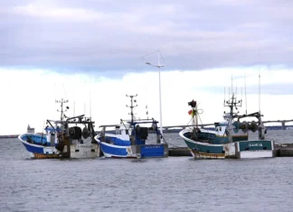 Pêche en mer à Oléron : sortie collective ou bateau privé, lequel vaut vraiment son prix ?