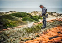 Toitures d’Oléron : pourquoi le toit verdit deux fois plus vite ici (et comment stopper l’invasion)