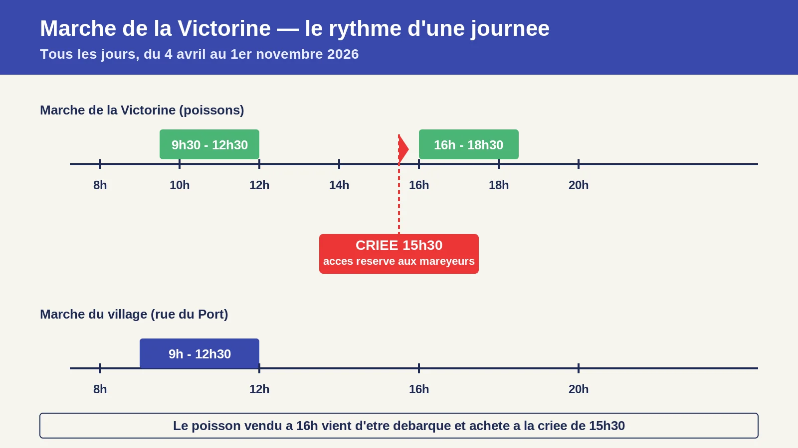 Rythme d'une journée au marché de la Victorine : ouvertures 9h30-12h30 et 16h-18h30, criée aux mareyeurs à 15h30, marché du village 9h-12h30