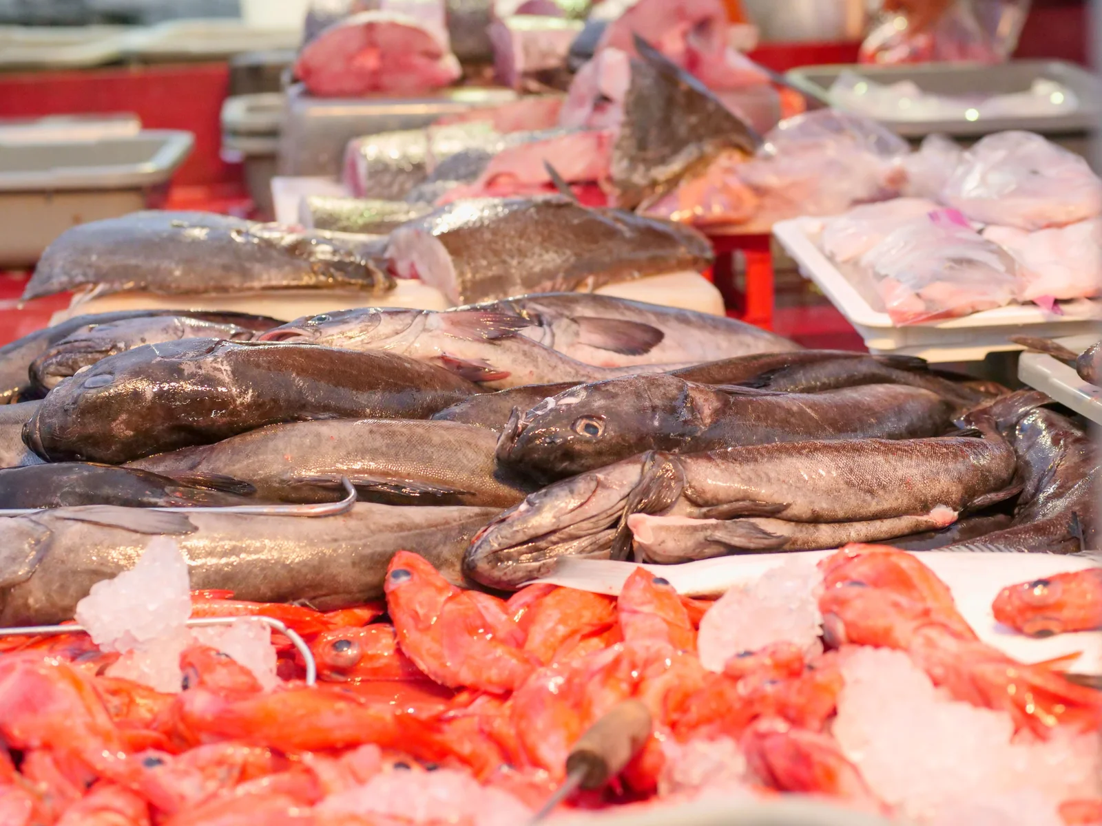 Étal de poissons frais et crevettes posés sur glace au marché